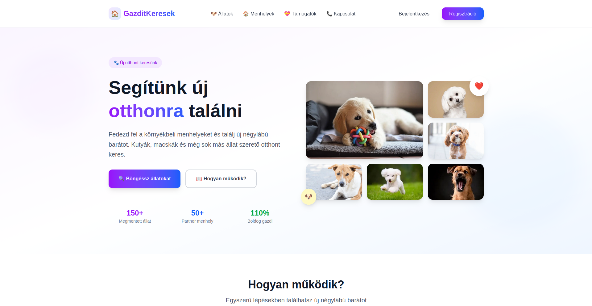 Gazdikereső